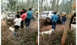 石塘镇最新爆料消息今天,揭秘神秘事件背后的真相！